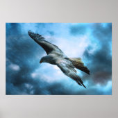 Eagle tijdens de vlucht poster (Voorkant)
