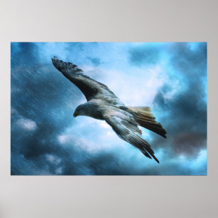 Eagle tijdens de vlucht poster