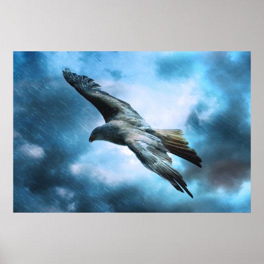 Eagle tijdens de vlucht poster (Voorkant)