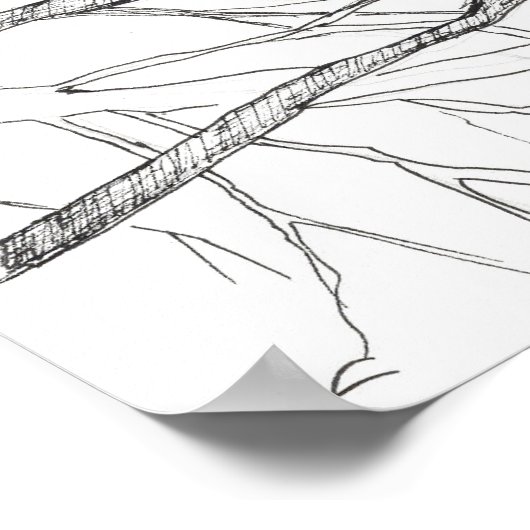 Eagle Tree Desert Landscape Ink Sketch Poster (Hoek)