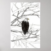 Eagle Tree Desert Landscape Ink Sketch Poster (Voorkant)