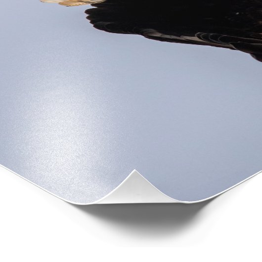 Eagle Twist Foto Afdruk (Hoek)