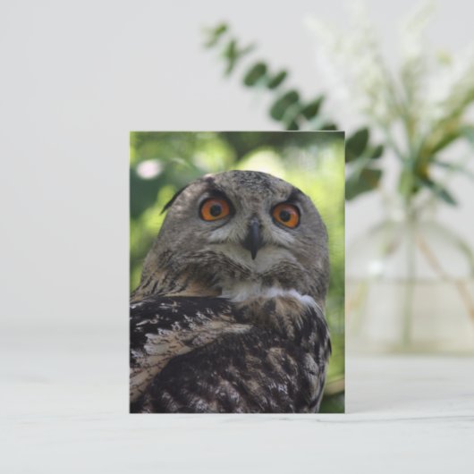 Eagle-uil Briefkaart (Staand voorkant)
