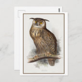 Eagle Uil Illustratie door Edward Lear Briefkaart (Voorkant / Achterkant)