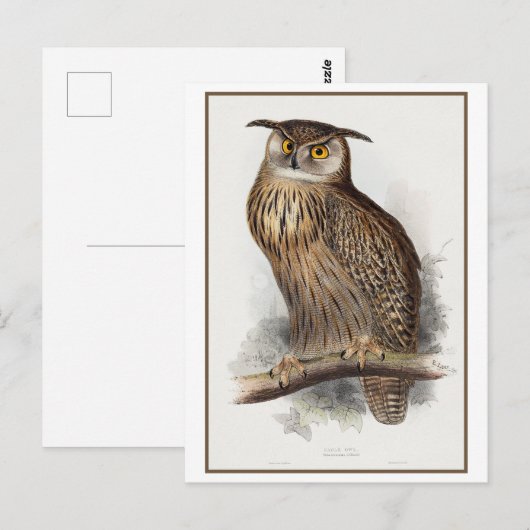 Eagle Uil Illustratie door Edward Lear Briefkaart (Voorkant / Achterkant)