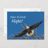 Eagle Up Briefkaart (Voorkant / Achterkant)