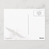 Eagle Up Briefkaart (Achterkant)