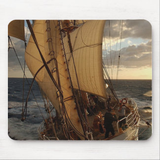 Eagle van het Zee Muismat