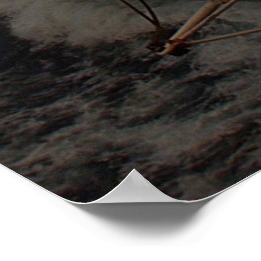 Eagle van het Zee Poster (Hoek)