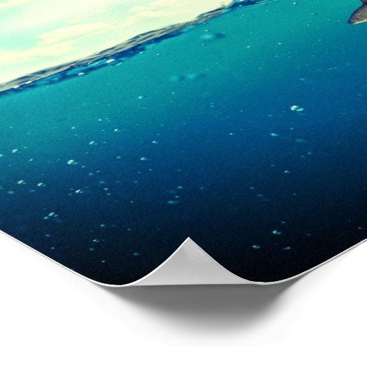 Eagle vangt een vis poster (Hoek)