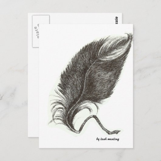 Eagle veer briefkaart (Voorkant / Achterkant)