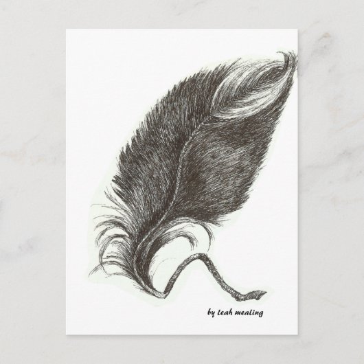 Eagle veer briefkaart (Voorkant)