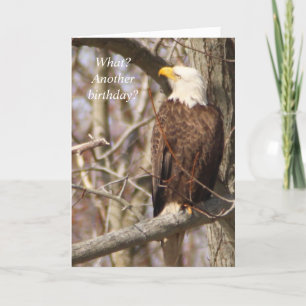 Eagle Verjaardagskaart Kaart
