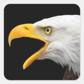 Eagle Vierkante Sticker (Voorkant)