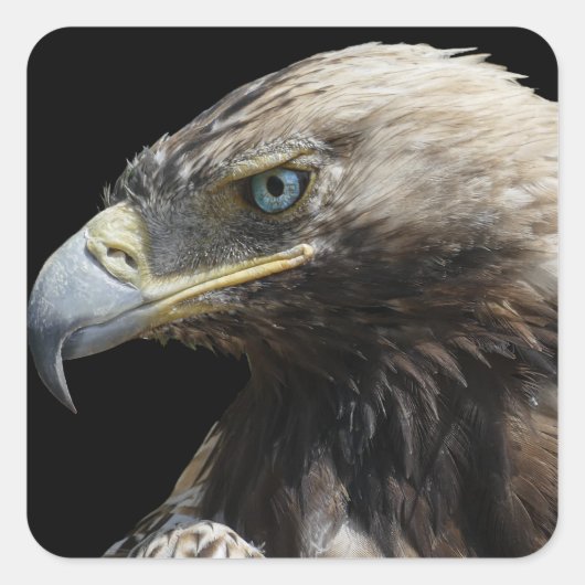 Eagle Vierkante Sticker (Voorkant)