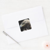 Eagle Vierkante Sticker (Envelop)