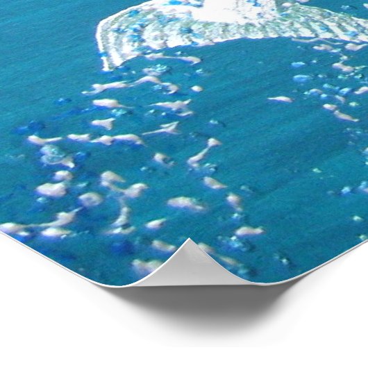 Eagle-visserij Poster (Hoek)