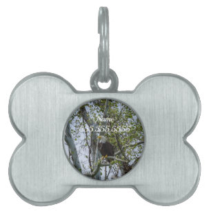 Eagle Watch Out Pet ID Tag Huisdieren Naamplaatje