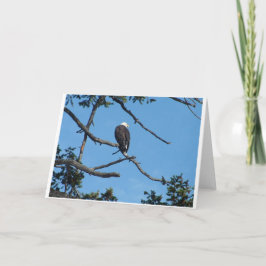 Eagle Wenskaart Kaart