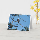 Eagle Wenskaart Kaart (Gele Bloem)