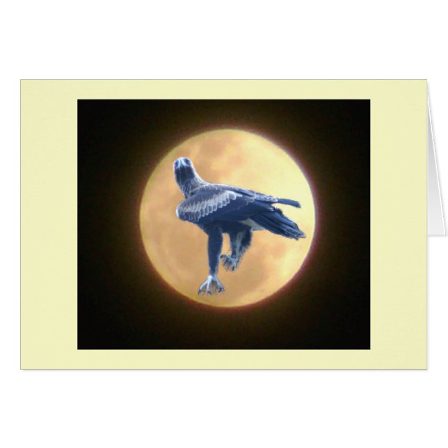 Eagle Wildlife (Voorkant Horizontaal)