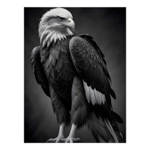 Eagle Wildlife Majestic Natuur Life Wallpaper Perfect Poster
