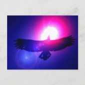 Eagle Wings - Eagle in Flight Briefkaart (Voorkant)