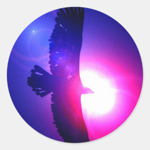 Eagle Wings - Eagle in Flight Ronde Sticker