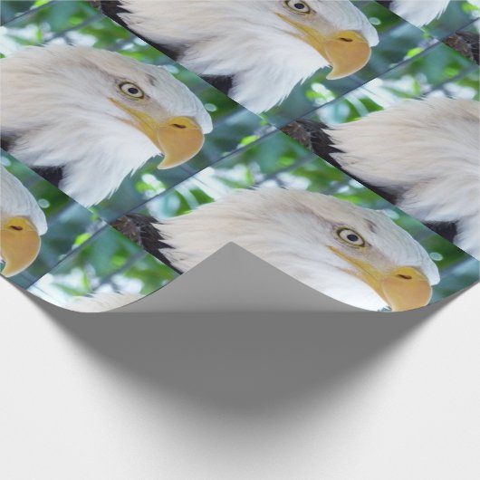Eagle Wrapping Paper Cadeaupapier (Hoek)