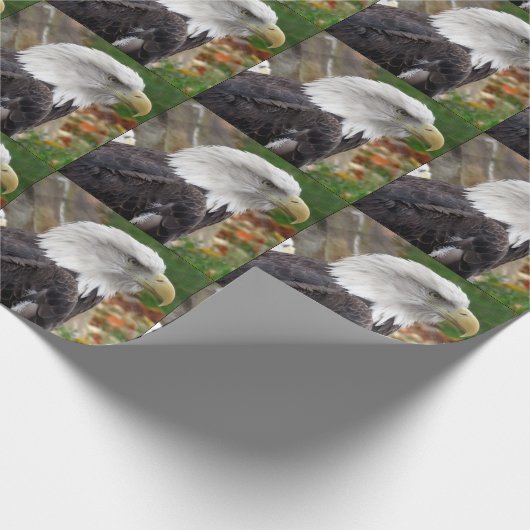 Eagle Wrapping Paper Cadeaupapier (Hoek)