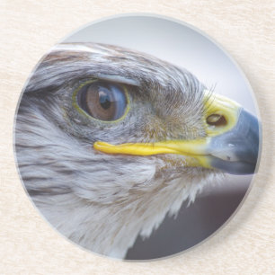 Eagle Zandsteen Onderzetter