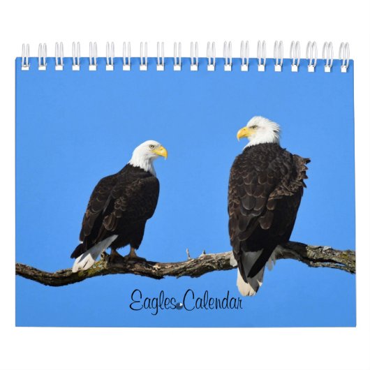 Eagles 2 kalender (Hoes)