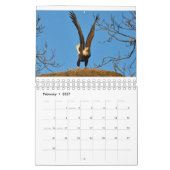 Eagles 2 kalender (Feb 2027)