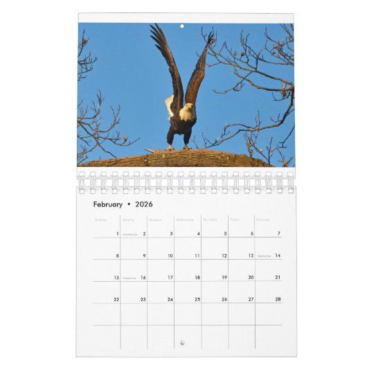 Eagles 2 kalender (Feb 2026)