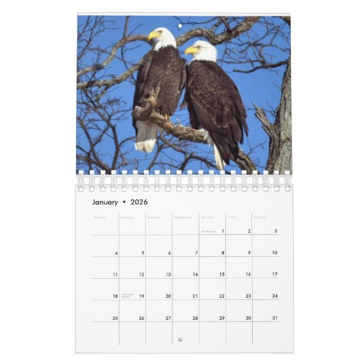 Eagles 2 kalender (Jan 2026)