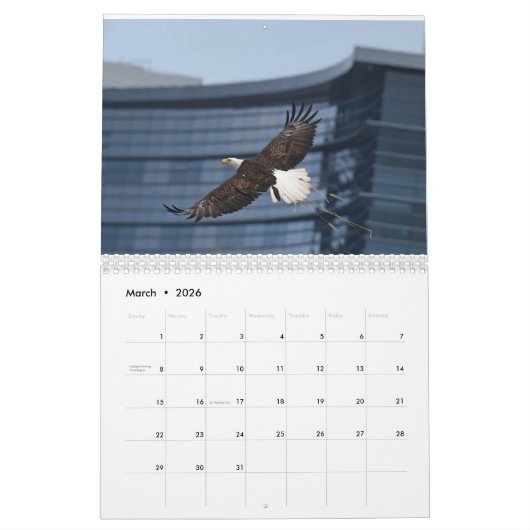 Eagles 3 kalender (Mar 2026)
