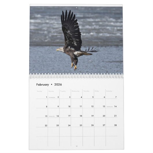 Eagles 3 kalender (Feb 2026)