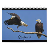 Eagles 3 kalender (Hoes)