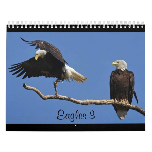 Eagles 3 kalender (Hoes)