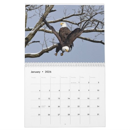 Eagles 3 kalender (Jan 2026)