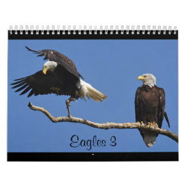 Eagles 3 kalender
