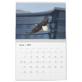 Eagles 3 kalender (Mar 2027)