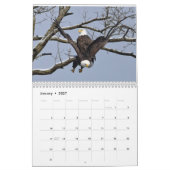 Eagles 3 kalender (Jan 2027)