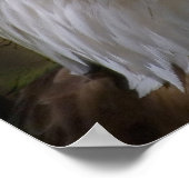 Eagle's Collage Poster (Hoek)