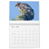 Eagles door Tamara Calendar Kalender (Mar 2026)