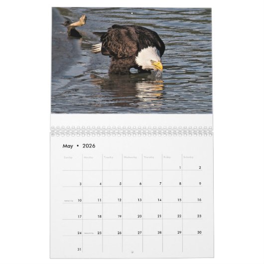 Eagles door Tamara Calendar Kalender (Mei 2026)
