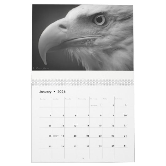 Eagles door Tamara Calendar Kalender (Jan 2026)