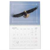 Eagles eerste familie kalender (Jan 2027)
