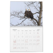 Eagles eerste familie kalender (Mar 2027)