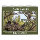 Eagles eerste familie kalender (Hoes)
